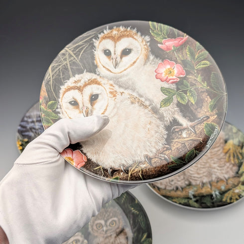 英國復古韋奇伍德嬰兒貓頭鷹系列藝術盤 4 件套